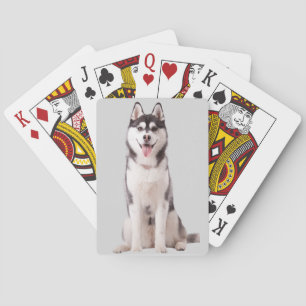 Siberian Husky Dog Playing Cards