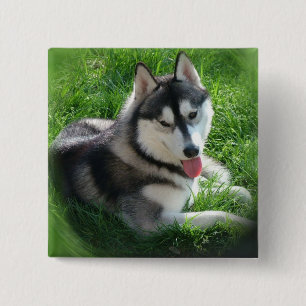 Siberian Husky Dog Square Pin