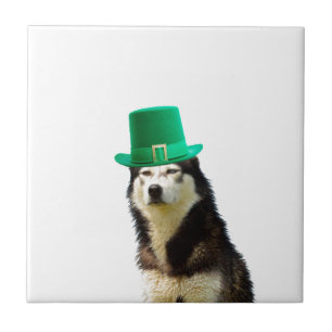 Siberian Husky Dog St. Patrick's day Ceramic Tile