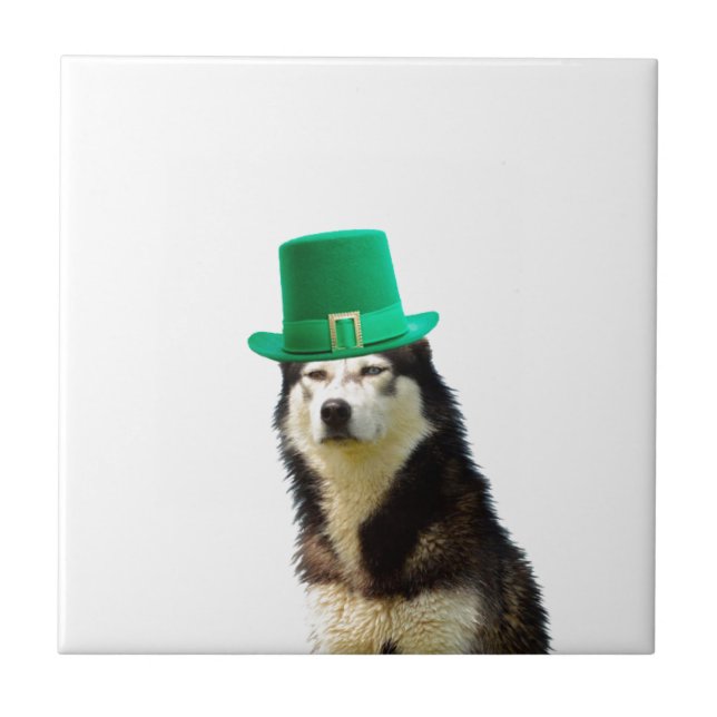 Siberian Husky Dog St. Patrick's day Ceramic Tile (Front)