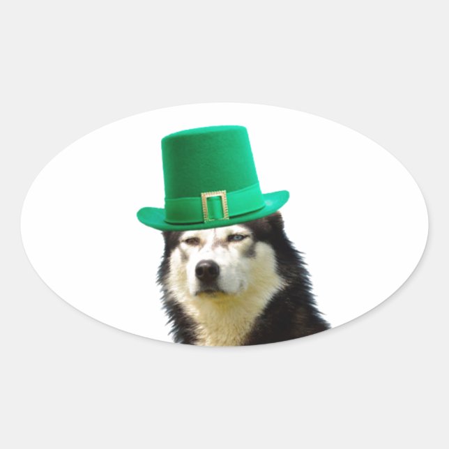 Siberian Husky Dog St. Patrick's day Oval Sticker (Front)