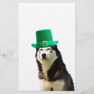 Siberian Husky Dog St. Patrick's day Stationery