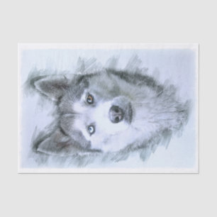 Siberian Husky Dog Tissue Paper