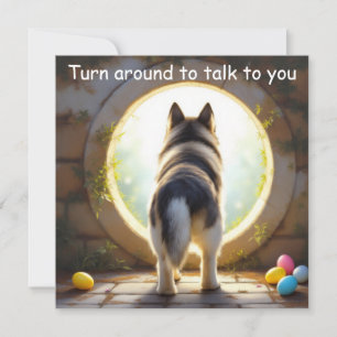 Siberian Husky dog - with Family Name Holiday Card