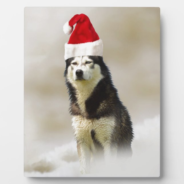 Siberian Husky Dog with Santa Hat in Snow Plaque (Front)
