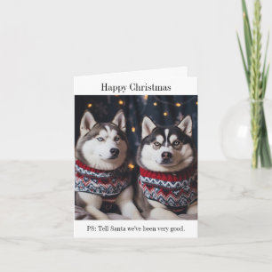 Siberian Husky Dogs Christmas Card