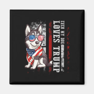 Siberian Husky Even My Dog Loves Trump Funny Magnet