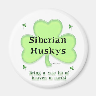 Siberian Husky Heaven; Husky St. Patrick's day Magnet