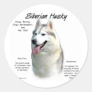 Siberian Husky History Design Classic Round Sticker