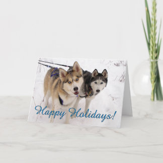 Siberian Husky Holiday Card