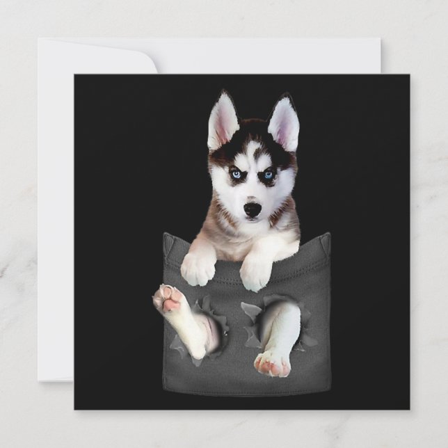 Siberian Husky In Pocket Puppy Holiday Card (Front)