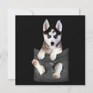 Siberian Husky In Pocket Puppy Holiday Card