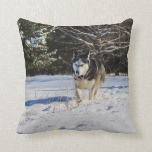 Siberian Husky In The Snow Cushion