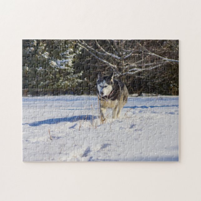 Siberian Husky In The Snow Jigsaw Puzzle (Horizontal)