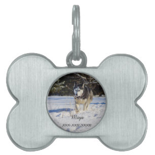 Siberian Husky In The Snow Pet Name Tag