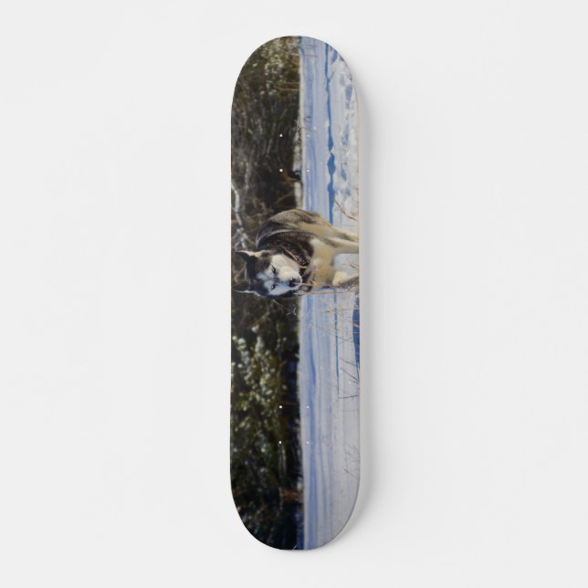 Siberian Husky In The Snow Skateboard (Front)