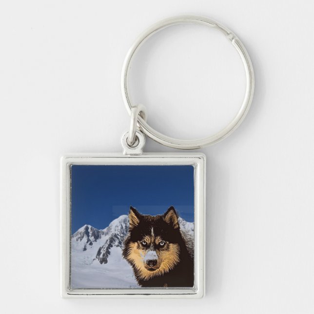 Siberian Husky Keychain (Front)