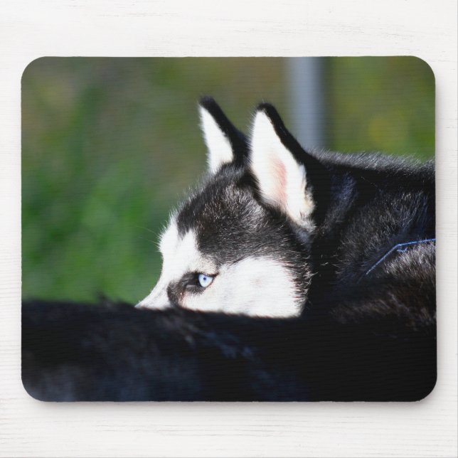 Siberian Husky Mousepad (Front)