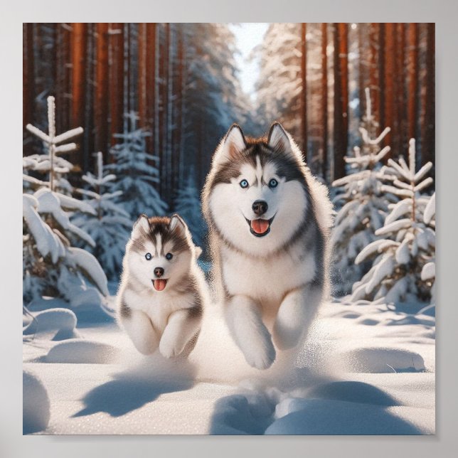 Siberian Husky mum and her puppy Poster (Front)