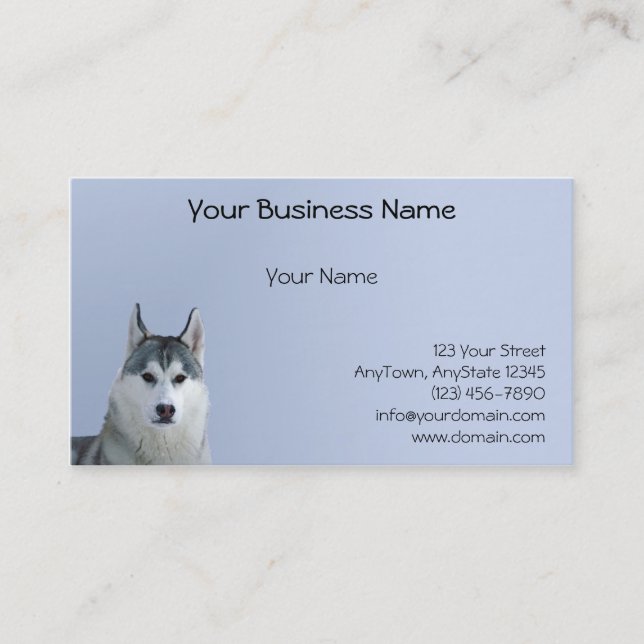Siberian Husky on Blue Background Business Card (Front)