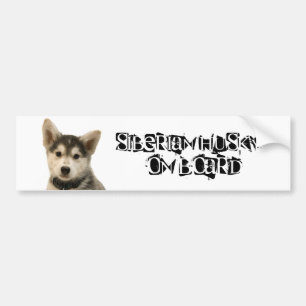 Siberian Husky on Board Bumper Sticker