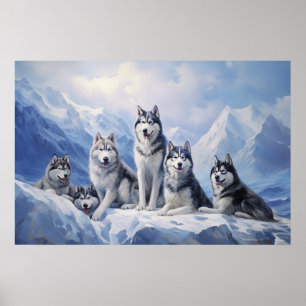 Siberian Husky pack Poster