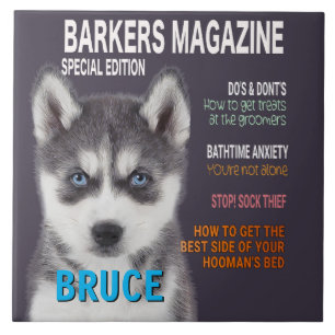 Siberian Husky Parody Magazine Cover Photo Print Ceramic Tile