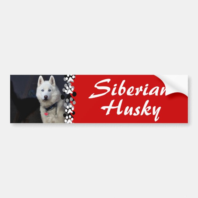 Siberian Husky Photo Bumper Sticker (Front)