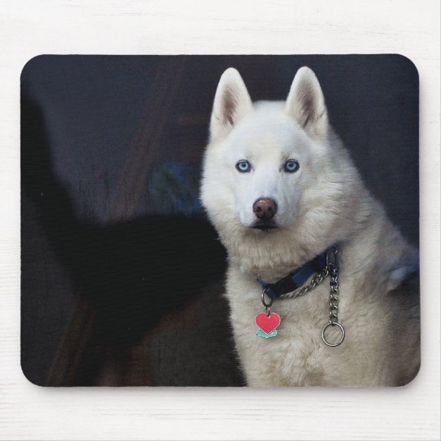 Siberian Husky Photo Mouse Pad (Front)