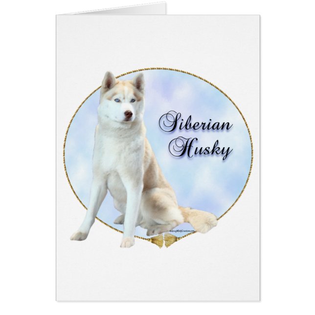 Siberian Husky Portrait (Front)