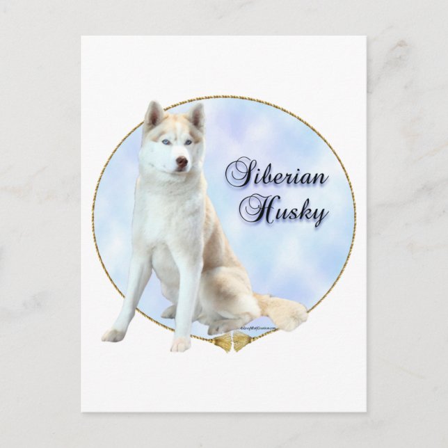 Siberian Husky Portrait Postcard (Front)
