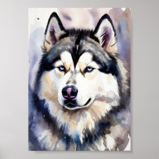 Siberian Husky Portrait Watercolor Fine Art - Blue Poster