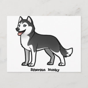 Siberian Husky Postcard