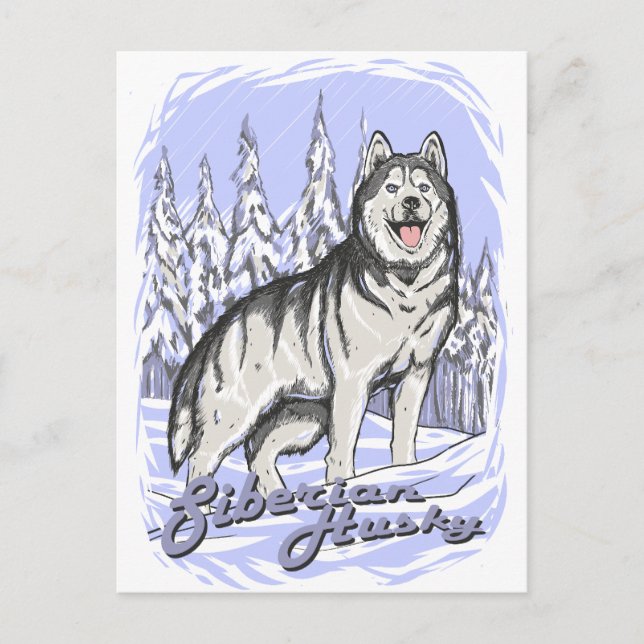 Siberian Husky Postcard (Front)