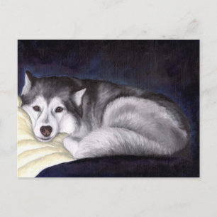 Siberian Husky Postcard