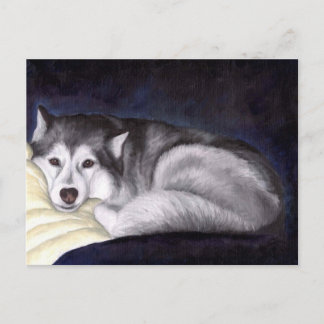 Siberian Husky Postcard