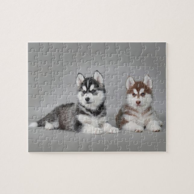 Siberian husky puppies jigsaw puzzle (Horizontal)