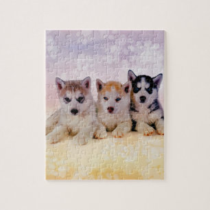 Siberian Husky Puppies Jigsaw Puzzle