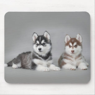 Siberian husky puppies mouse pad