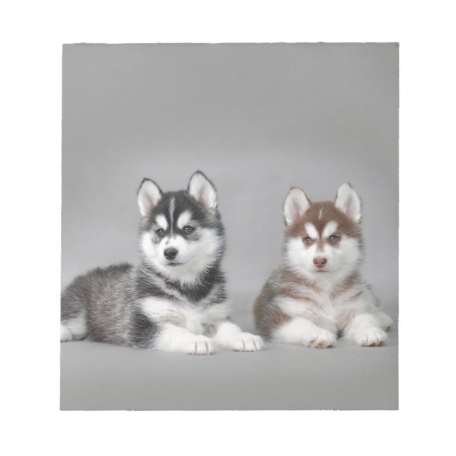 Siberian husky puppies notepad (Front)
