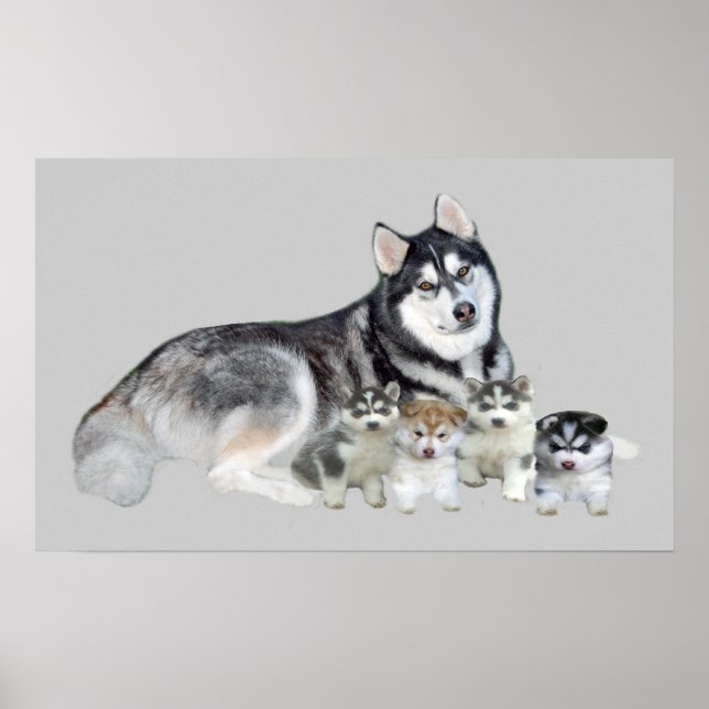 Siberian Husky & Puppies Print (Front)