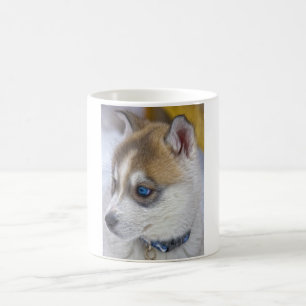 Siberian Husky Puppy 2 Coffee Mug