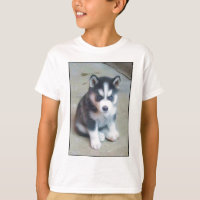 Siberian Husky puppy art