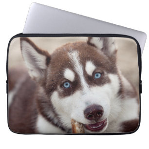 Siberian Husky Puppy at the Beach Laptop Sleeve