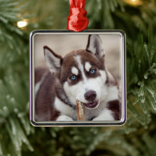Siberian Husky Puppy at the Beach Metal Ornament