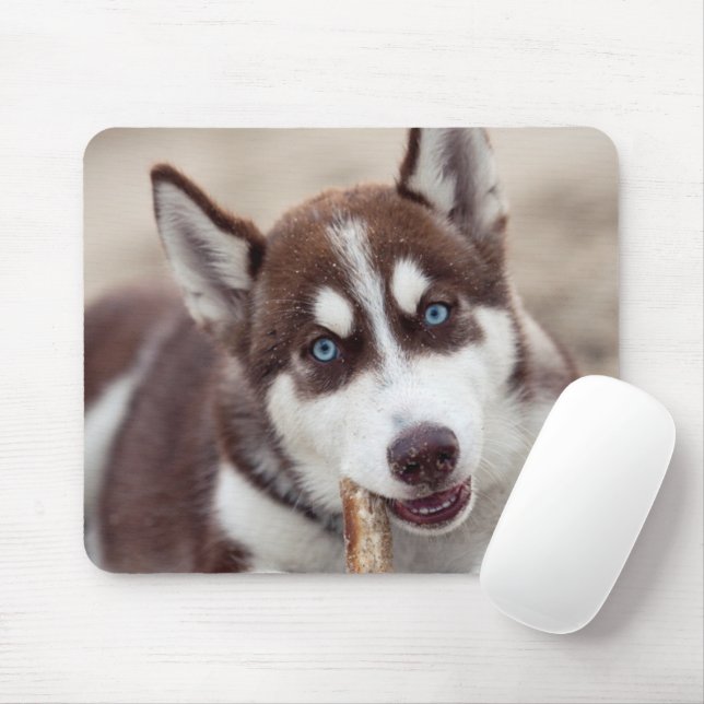Siberian Husky Puppy at the Beach Mouse Pad (With Mouse)