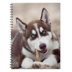 Siberian Husky Puppy at the Beach Notebook