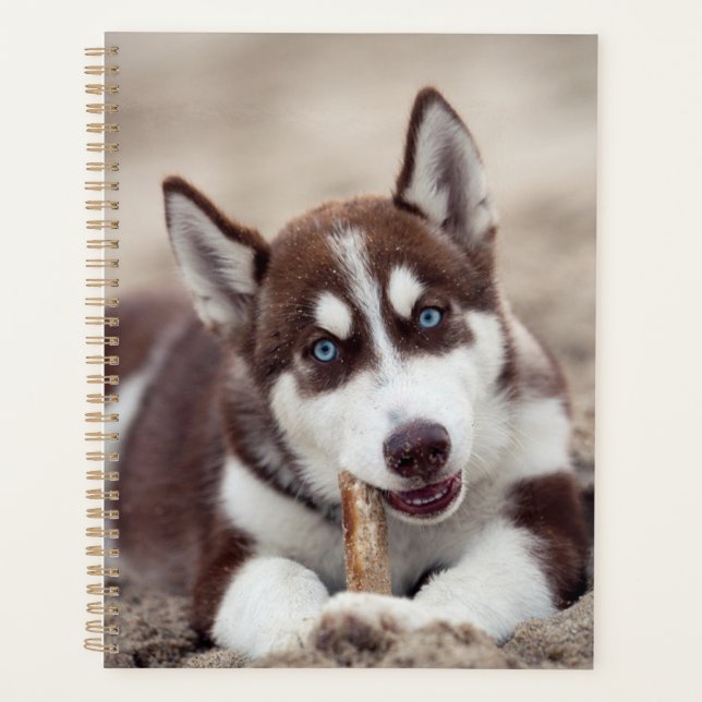 Siberian Husky Puppy at the Beach Planner (Front)