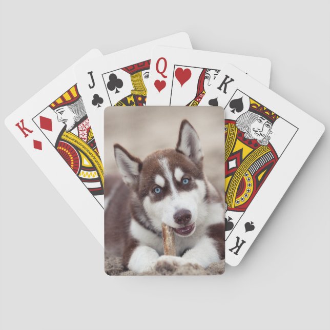 Siberian Husky Puppy at the Beach Playing Cards (Back)