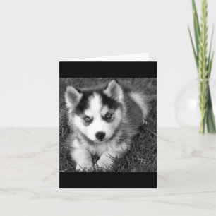 Siberian Husky Puppy Dog Blank Greeting Note Card